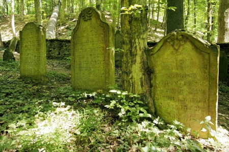 Židovský hřbitov Podbřezí_49