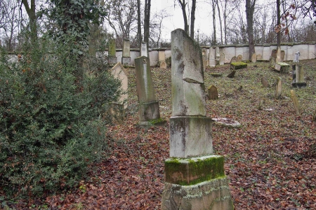 Židovský hřbitov Slavkov u Brna _61