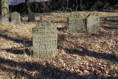 Židovský hřbitov v Kosově Hoře_26