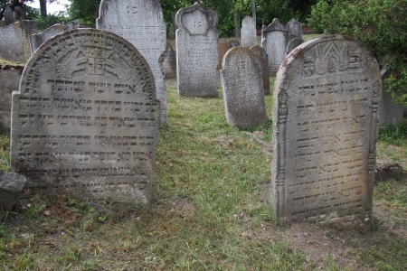 Židovský hřbitov v Osoblaze_21