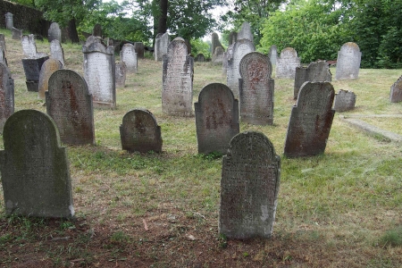 Židovský hřbitov v Osoblaze_26