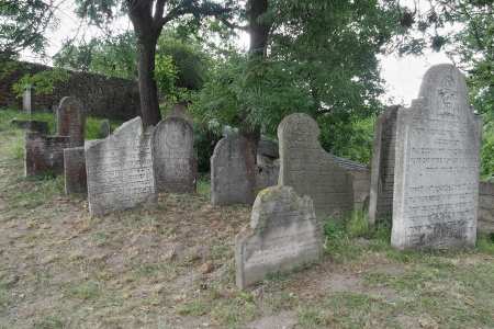 Židovský hřbitov v Osoblaze_41
