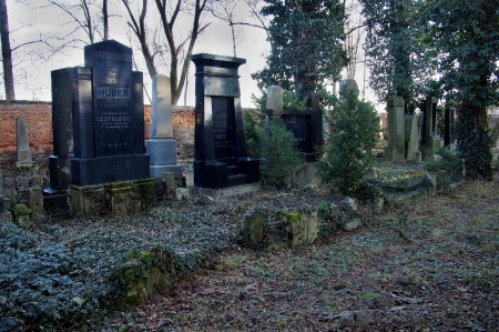 Židovský hřbitov Vyškov_24