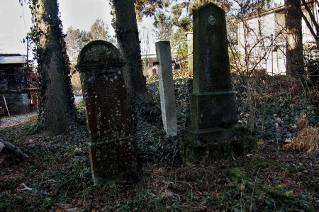 Židovský hřbitov Vyškov_26