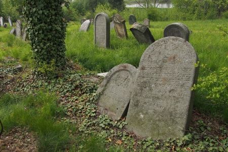 Židovský hřbitov Zájezdec_25