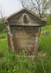 Židovský hřbitov Zájezdec_29