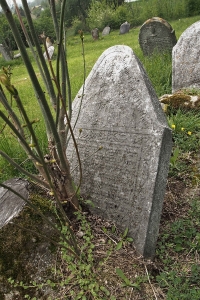 Židovský hřbitov Zájezdec_30