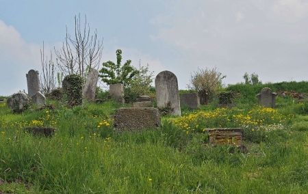 Židovský hřbitov Zájezdec_43