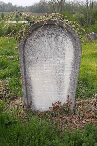 Židovský hřbitov Zájezdec_51