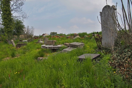 Židovský hřbitov Zájezdec_53