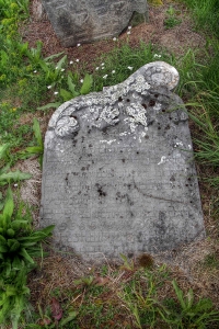 Židovský hřbitov Zájezdec_54