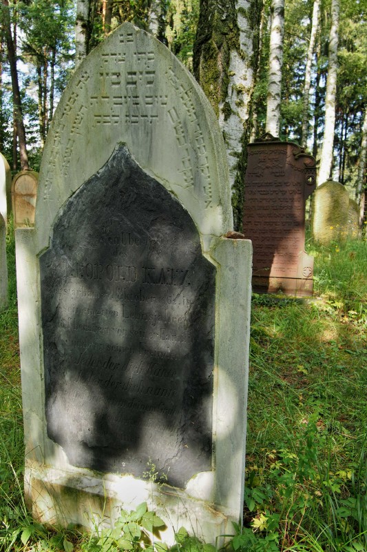 Židovský hřbitov Dřevíkov_23