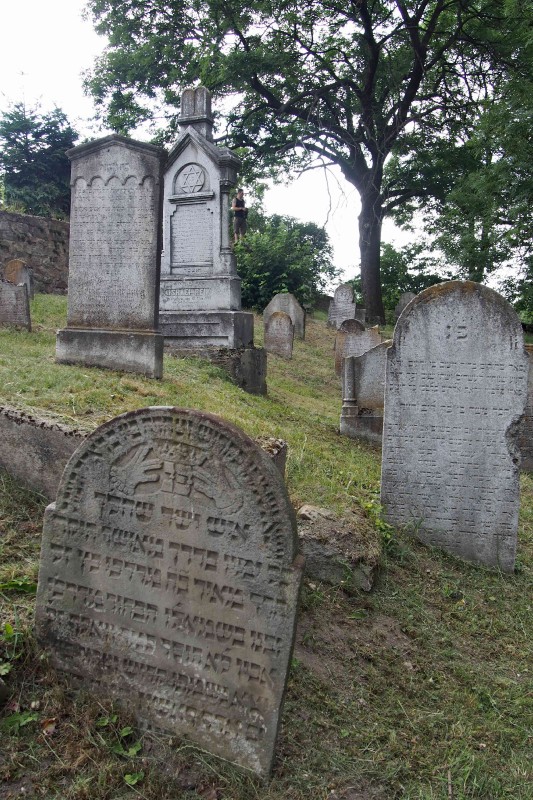 Židovský hřbitov v Osoblaze_30