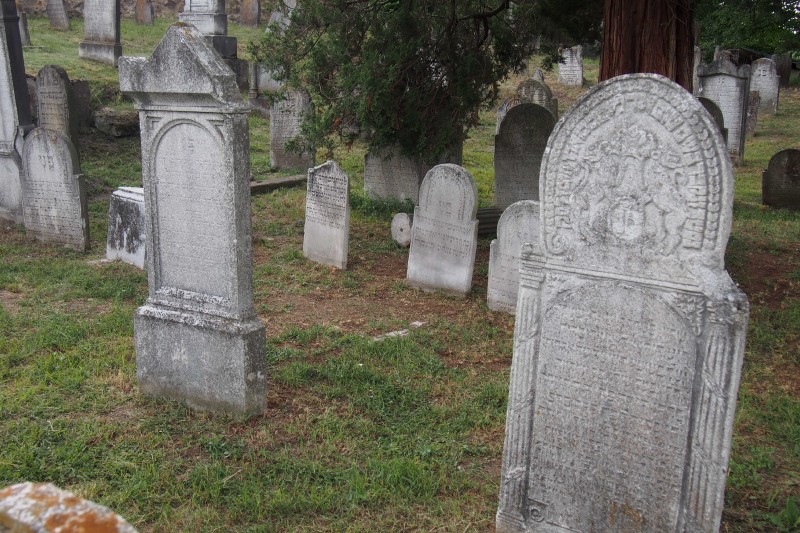 Židovský hřbitov v Osoblaze_50