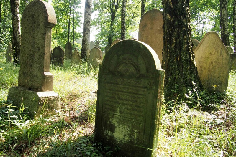 Židovský hřbitov Dřevíkov_34