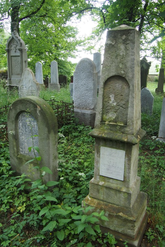 Židovský hřbitov Dřevíkov_68