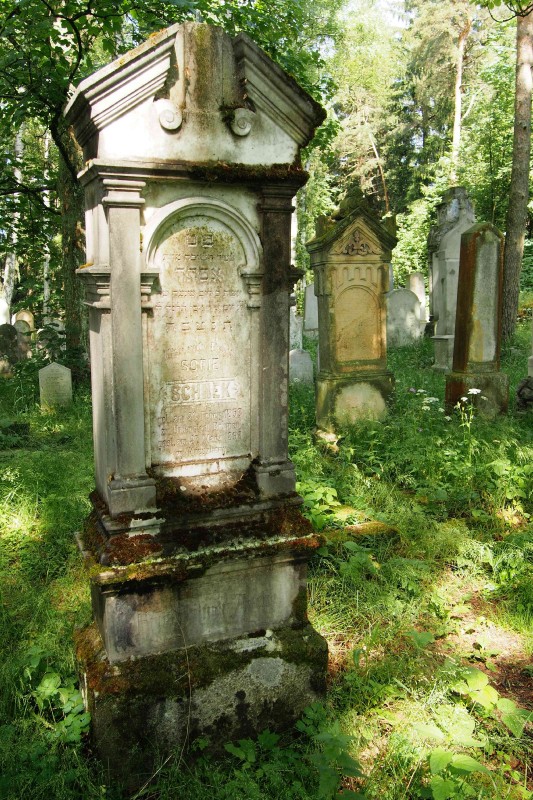 Židovský hřbitov Dřevíkov_86