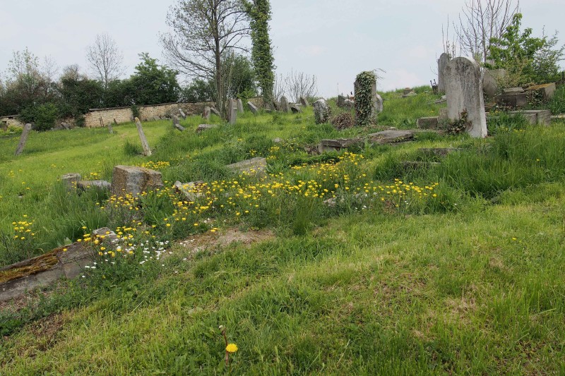 Židovský hřbitov Zájezdec_47