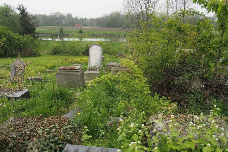 Židovský hřbitov Zájezdec_67